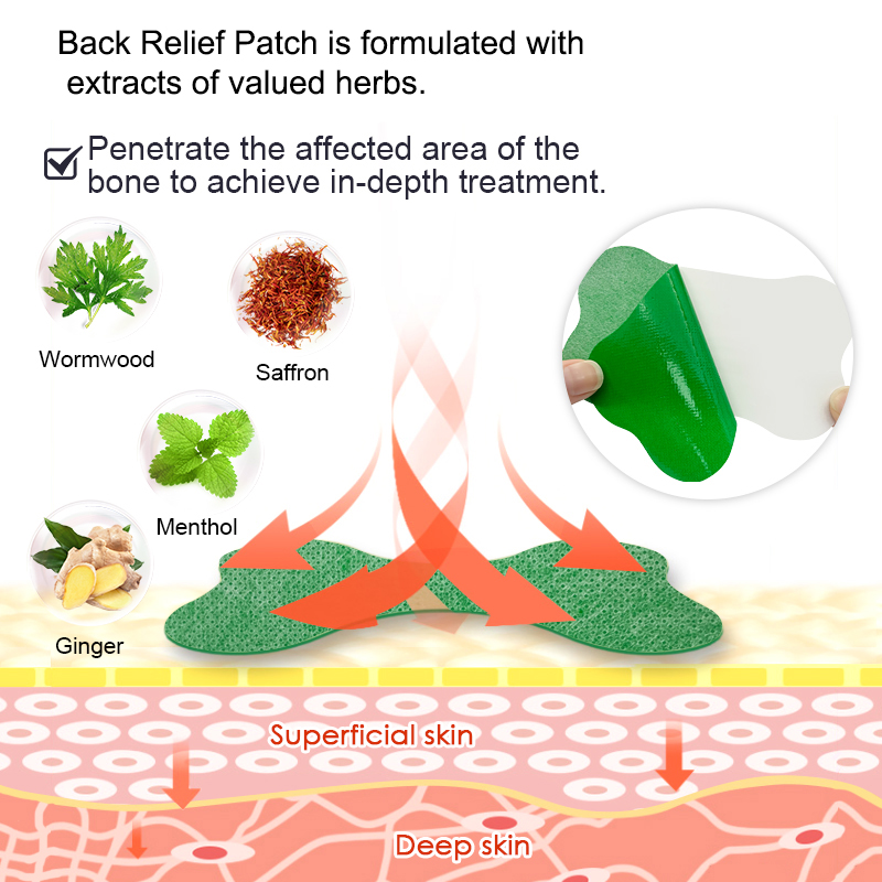 60/6 PCS Lendenwirbelsäule Sch – Herbal Wellness Patches Bewertung und Preis